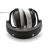 Modified DT770 with Mass Loading and Dampening - Image 5
